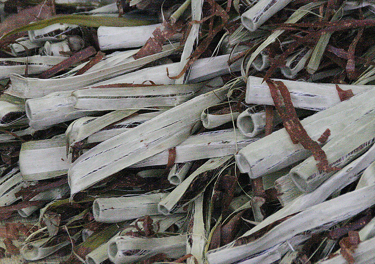 筒剝ぎ - 『樹皮が和紙になる』続：石州和紙