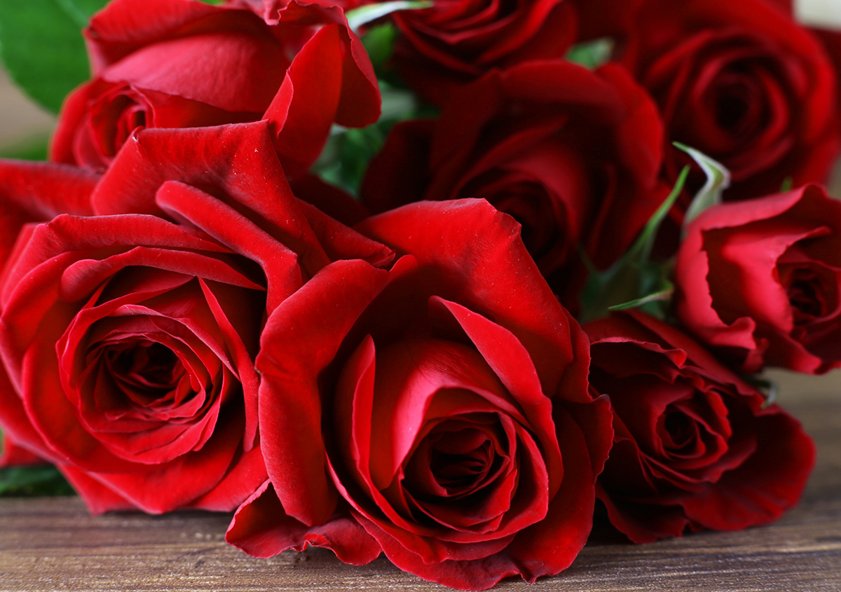 香料インキ イメージ:薔薇 | 印刷効果面以外で意匠性のある特殊インキ - 三星インキ株式会社 | 活版印刷研究所