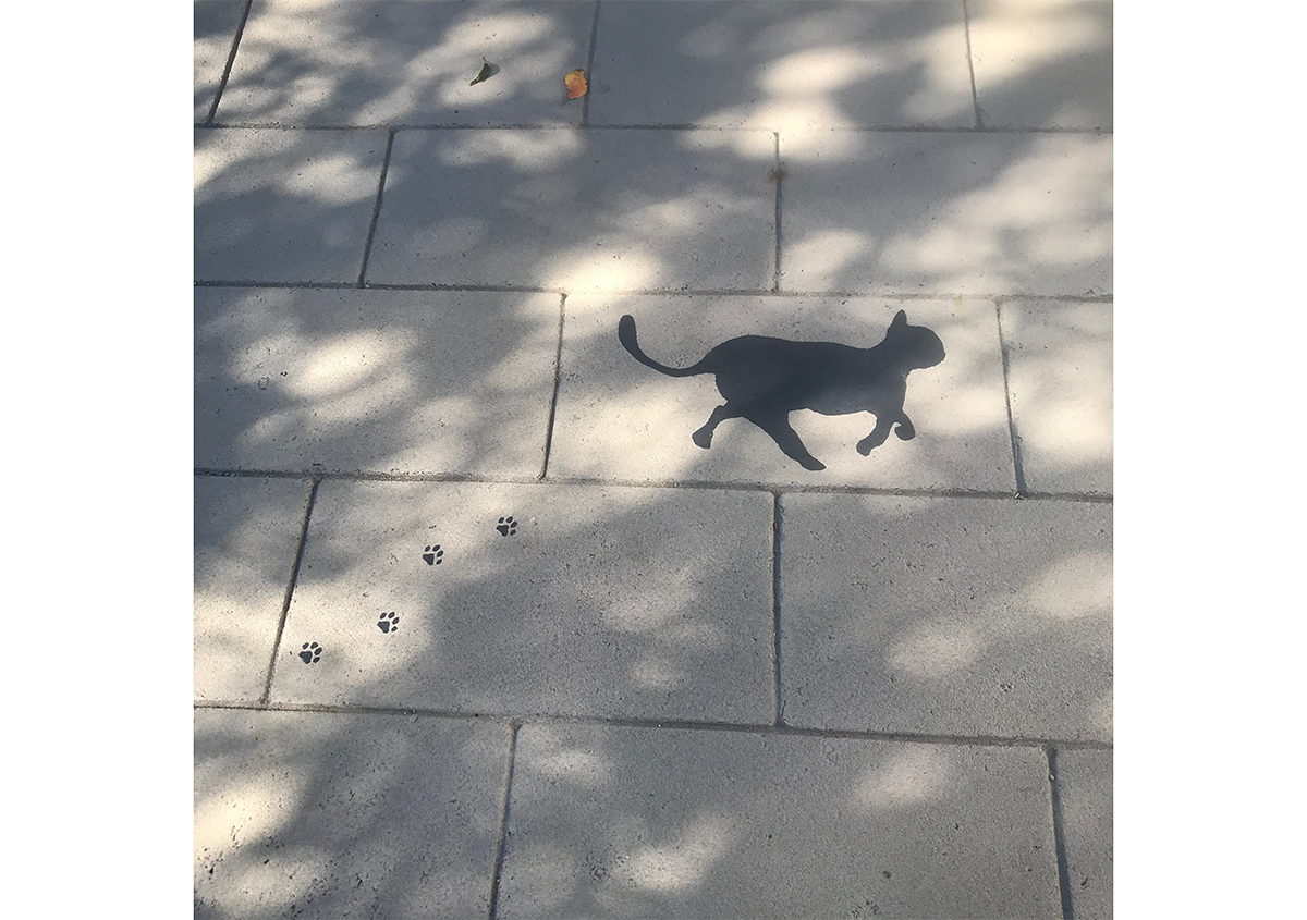 写真10 | 《特別展》発表120年記念 『吾輩ハ猫デアル』に行ってきました - 生田信一(ファーインク) | 活版印刷研究所